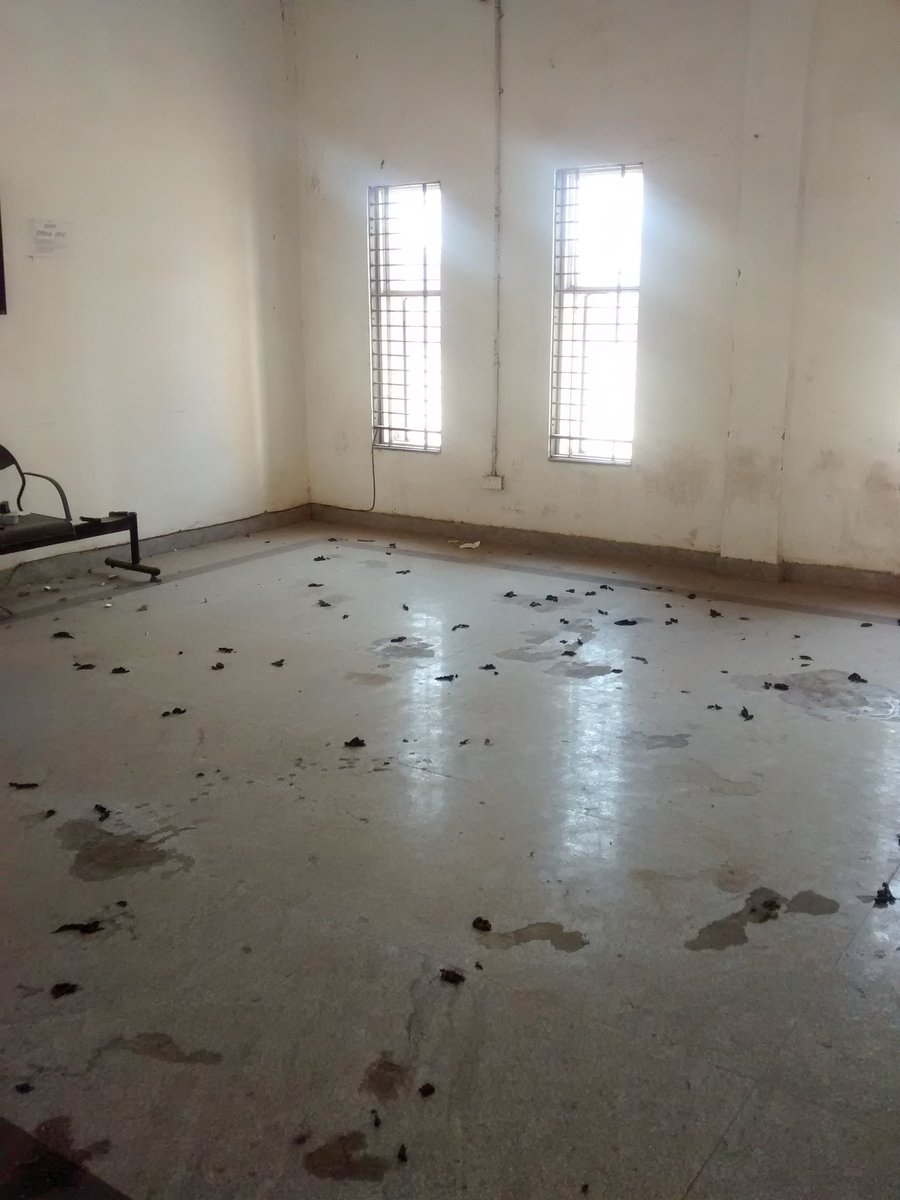 SunelBharat's tweet photo. @VoiceOfNITB @HRDMinistry  @PrakashJavdekar @PMOIndia 
#nitb_injustice
TV hall is full of dogs and cats shits in hotsel -8 MANIT https://t.co/XVaRqV157q