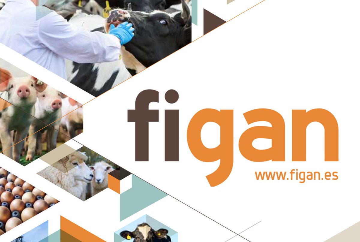 farmcloud_io's tweet photo. Awarded @Figan_fz innovative solution distinction in the #livestock tradeshow #agtech contest, with our #IoT #SaaS. We are very proud! 🏆😀🤓 https://t.co/E6DeAlsNn9