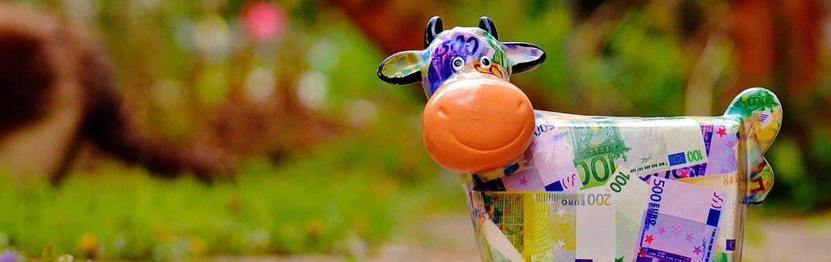 interveducativa's tweet photo. ¿DEBEN LOS NIÑOS TENER UNA PAGA? cómo educar en lo financiero y su primera experiencia con el dinero, la paga. https://t.co/K31QFI4Jmy https://t.co/9KvMxtITby
