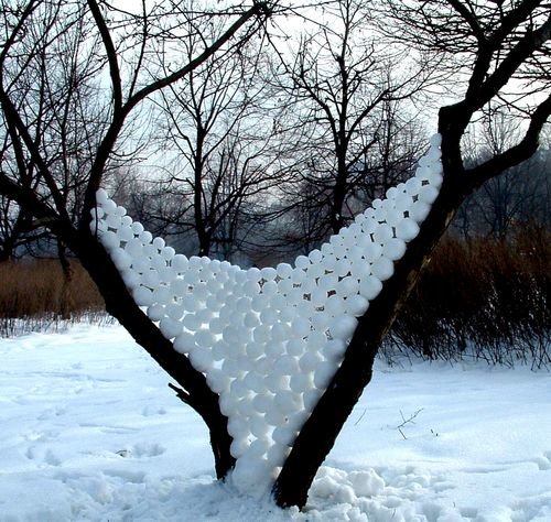 DvFrisco's tweet photo. Grand amateur de neige et de glace https://t.co/zJhgi37Pr3 https://t.co/mgJJX7lHzL