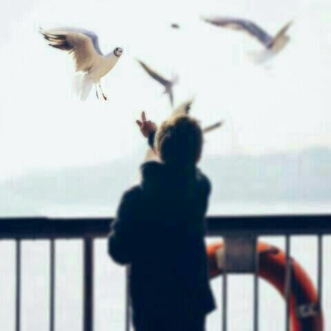 omer2000saif2's tweet photo. في قلوبنا كلام لا نستطيع أن نعل�� عنه.فقط نكتفي بكتابه بعض الكلمات التي تصف حالتنا بطريقه غير مباشره!
#كوب_لشخصين 
#عناقيد_حرف 
#رباب_الكلم https://t.co/dyLuERVvMM