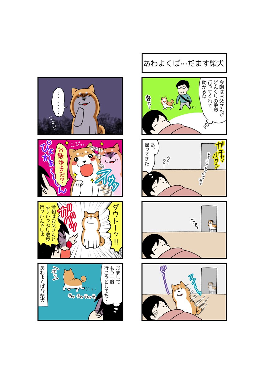 宮路ひま あわよくば 騙してくる柴犬 柴犬どんぐり コロコロまんが日記 T Co Epc5ekn8ry 柴犬 柴犬どんぐり ドヤ顔柴犬どんぐり 漫画 犬 絵日記 宮路ひま あわよくば 騙してくる柴犬 柴犬どんぐり コロコロまんが日記 T Co Epc5ekn8ry 柴犬 柴犬どんぐり ドヤ顔柴犬どんぐり 漫画 犬 絵日記