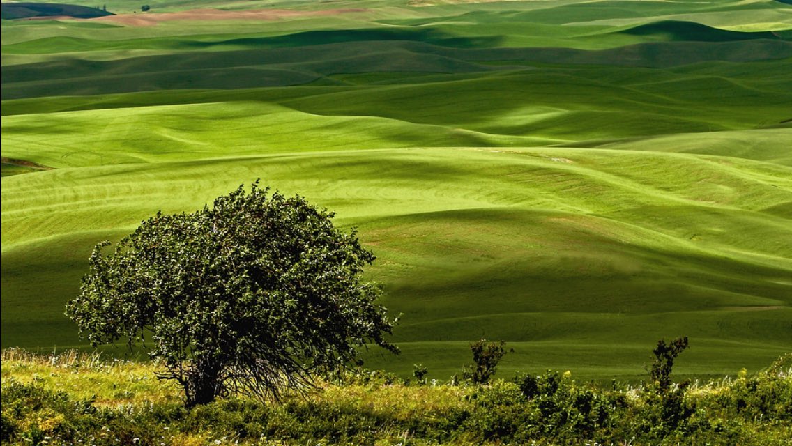 LandscapeFrance's tweet photo. 📷🇫🇷https://t.co/ma2B3t4osV #france #photography #landscape #basquecountry https://t.co/tZeZiyhRr8