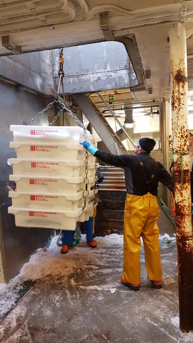 PeskyCod's tweet photo. Another day in the @MSCintheUK office! #Peterhead #FishLove #PureScottish #OceanHarvest https://t.co/3eC8u2Q4aP