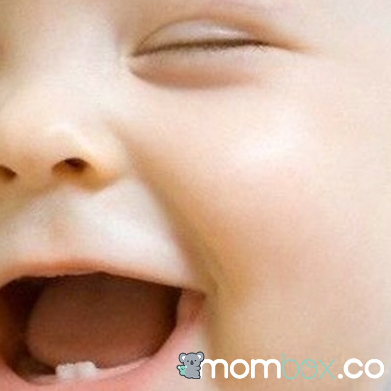 mombox_co's tweet photo. Un viernes divertido con los consentidos de la casa 👶🏻¿tu #bebe ya tiene dientes?https://t.co/HpwkkEbCBa #Mombox #NewBorn #MiPrimerDiente https://t.co/K4N8OV3V0F