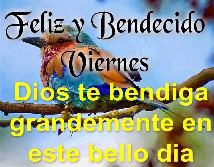 yami2336's tweet photo. @LuisJacobo84 @tiototo1619 @ZanozaYa_ @alejabolivarian @El_Verdugo38 @juandiaz50 @Vence_de_nuevo @luibustilloso @MolinetYulimar @kbql22 https://t.co/Bbmd4VQiBc