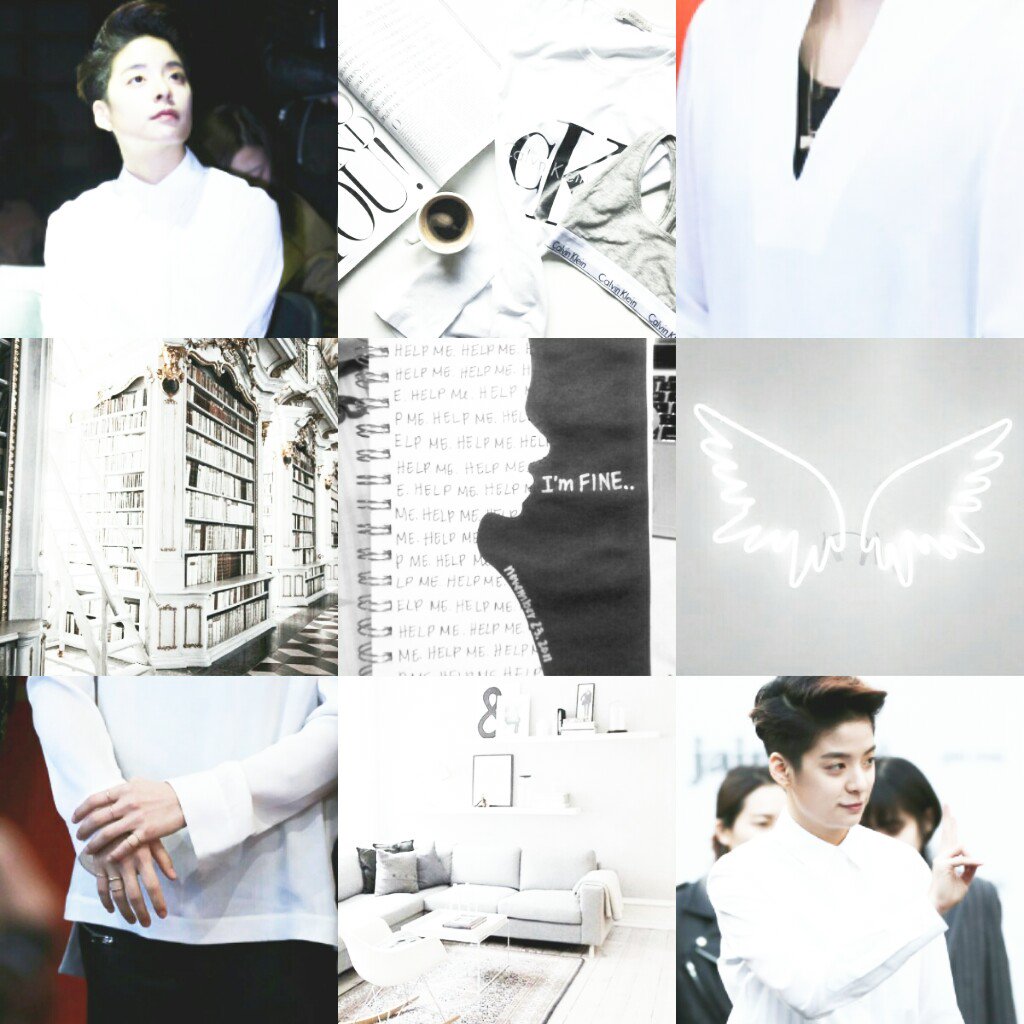 aestheticsber's tweet photo. https://t.co/zfHhL4VJ8d