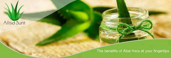 AlltidS's tweet photo. The benefits of #AloeVera at your fingertips #healthy #ForeverLiving #Norway #wellness #beauty #health https://t.co/hM8m7wT3tT