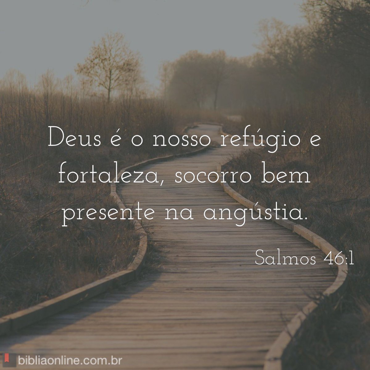 bibliaonline's tweet photo. https://t.co/00a17PKtAr