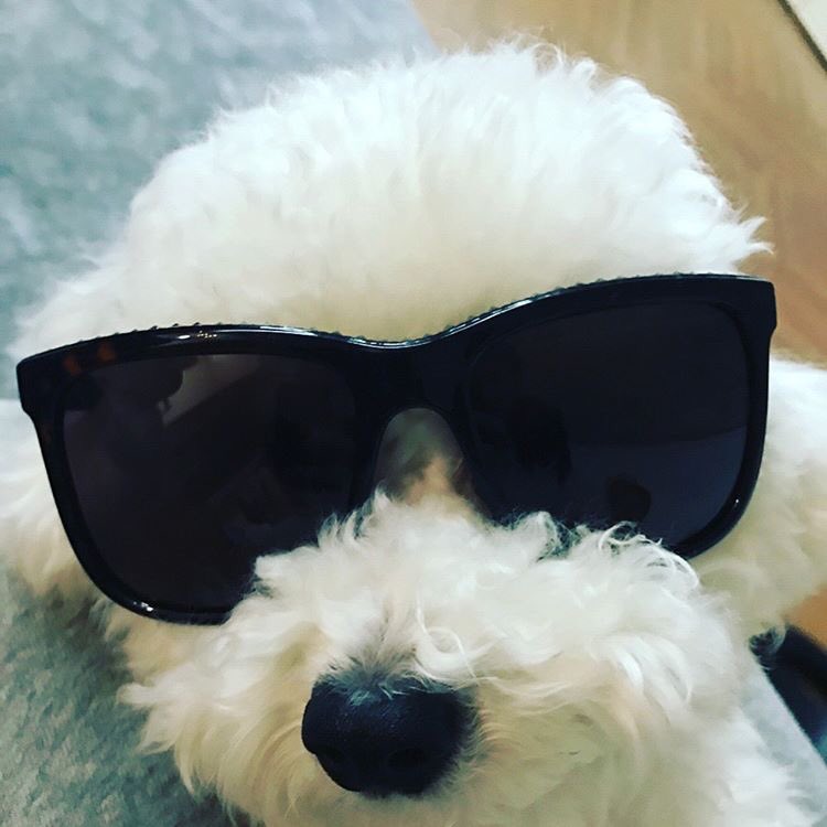 ___dreamming's tweet photo. .

 sehun's Instagram

.. https://t.co/4Xiw7kUucv
