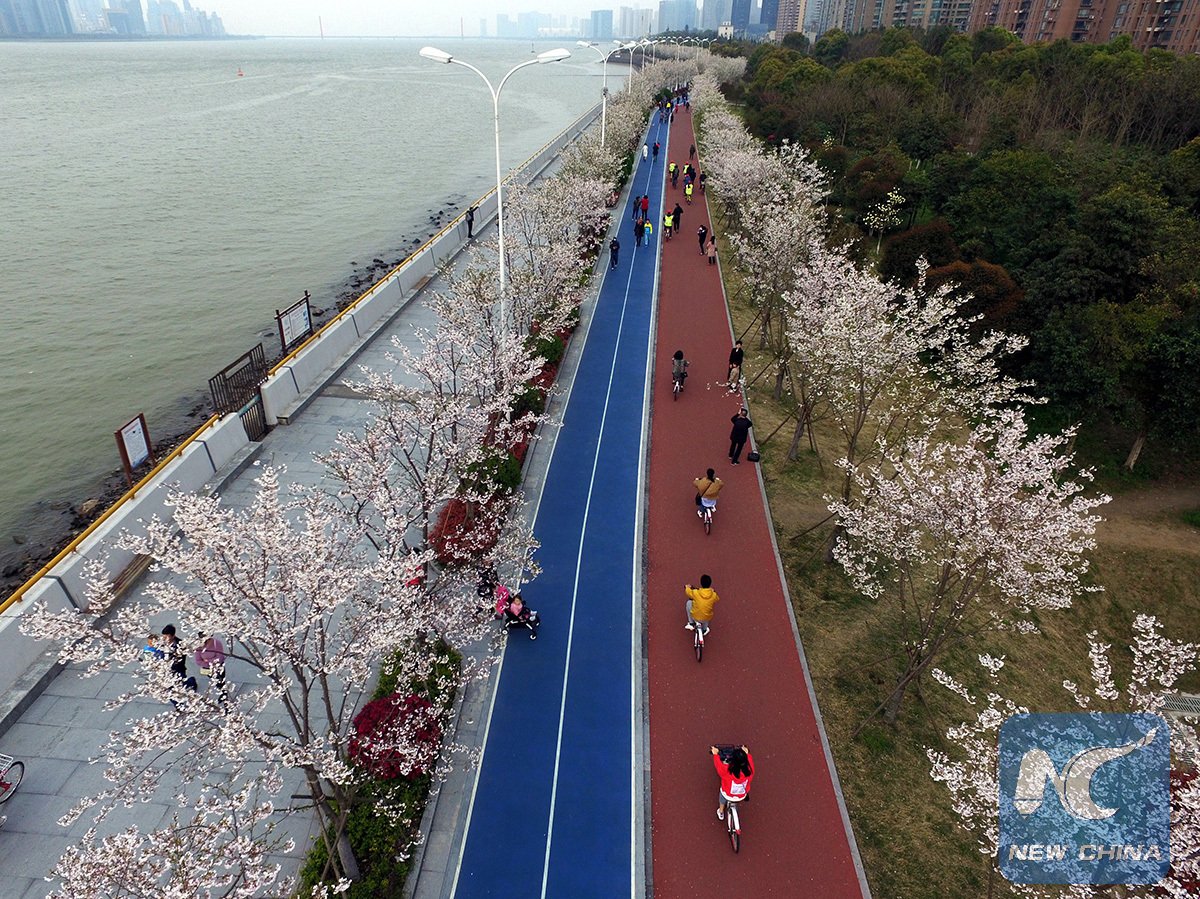 XHNews's tweet photo. Come for morning jog along a 7.4km track in E China's Hangzhou &amp; enjoy cherry blossoms https://t.co/FzV6n4HRFG