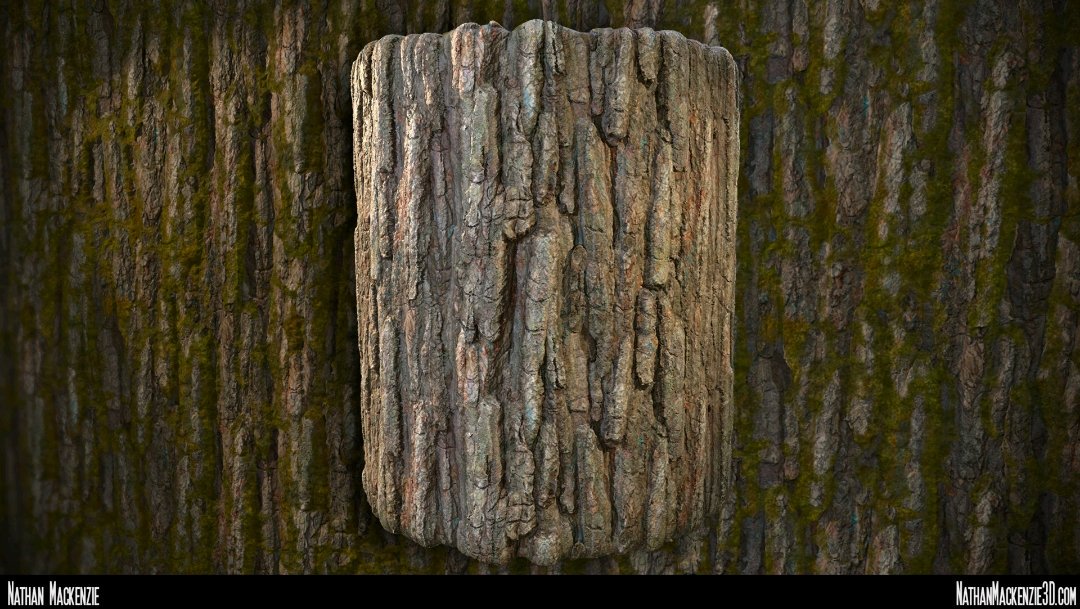 nathan3dartist's tweet photo. Another bark! Crazy! @Allegorithmic @EightyLevel @ArtStationHQ #substancedesigner #gameart #substance #marmoset #toolbag #digitalart #trees https://t.co/hlUNcyPklW