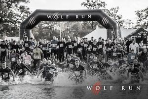 FMEngNetwork's tweet image. At The FM Network we are partaking in Wolf Run to raise money for @braintumourrsch Please help us raise funds on lnkd.in/dPFzavd