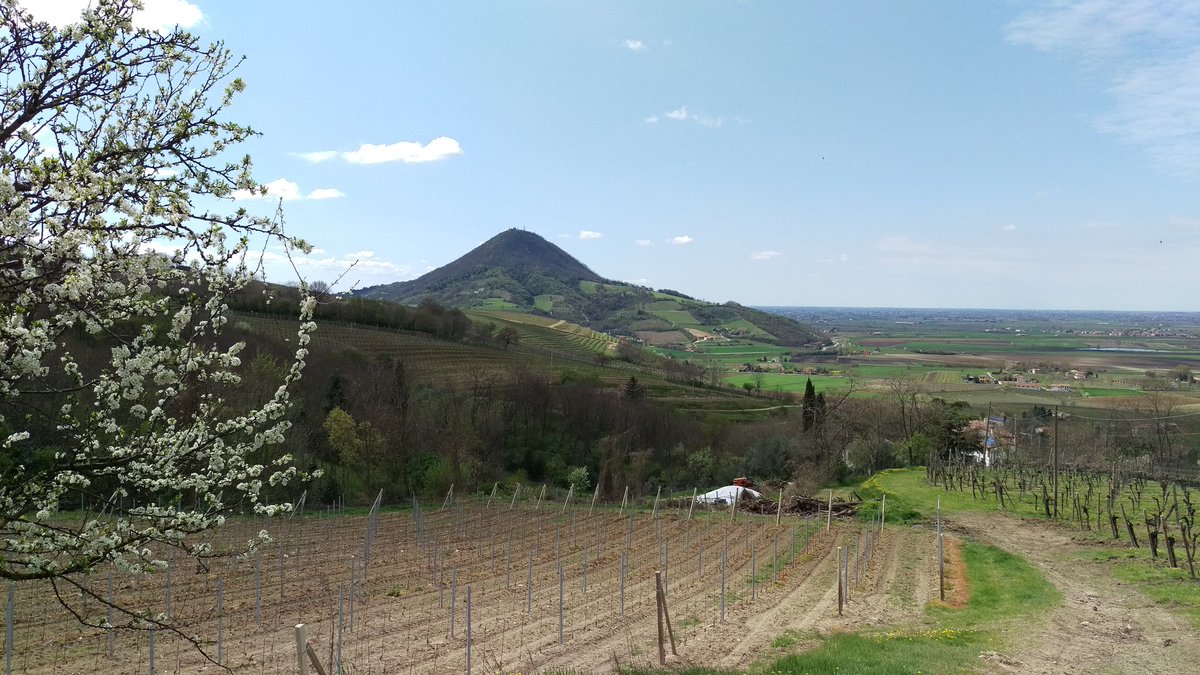 nicsat72's tweet photo. Vista dai Colli Euganei della pianura Veneta https://t.co/nuBcKbPWYI