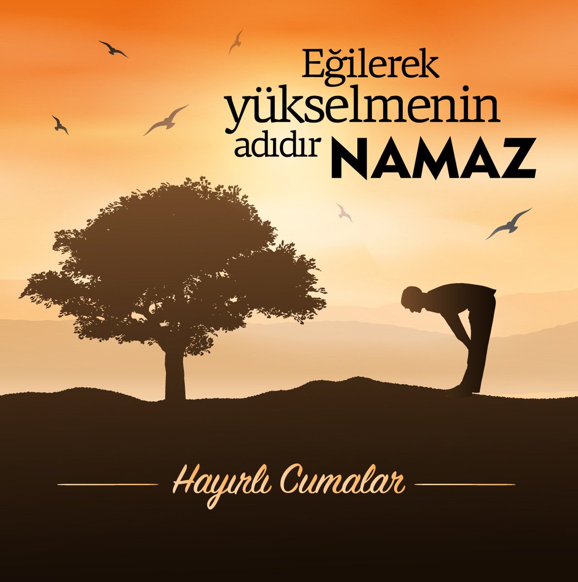 Cumamız Mübarek Olsun...
#HayırlıCumalar