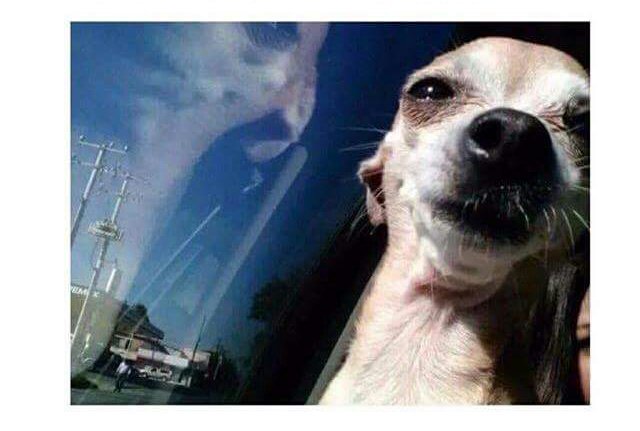 Lo Mejor de Twitland tweet media