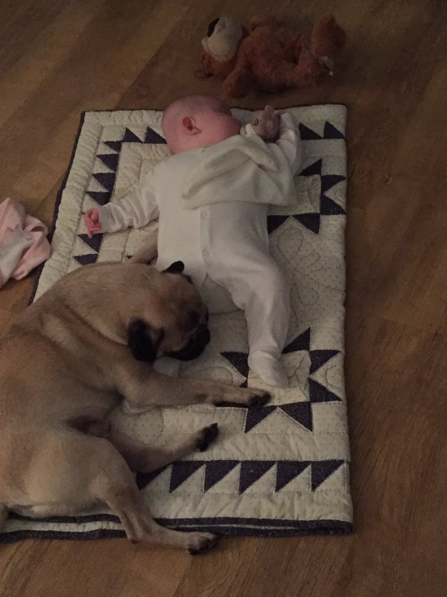 SaffronBooth's tweet photo. @thismorning my dog loves to sleep with my daughter. He's 2 and she's 5 months old. They're best friends! And he sleeps in my bed on a night https://t.co/YLQv6AKcpV