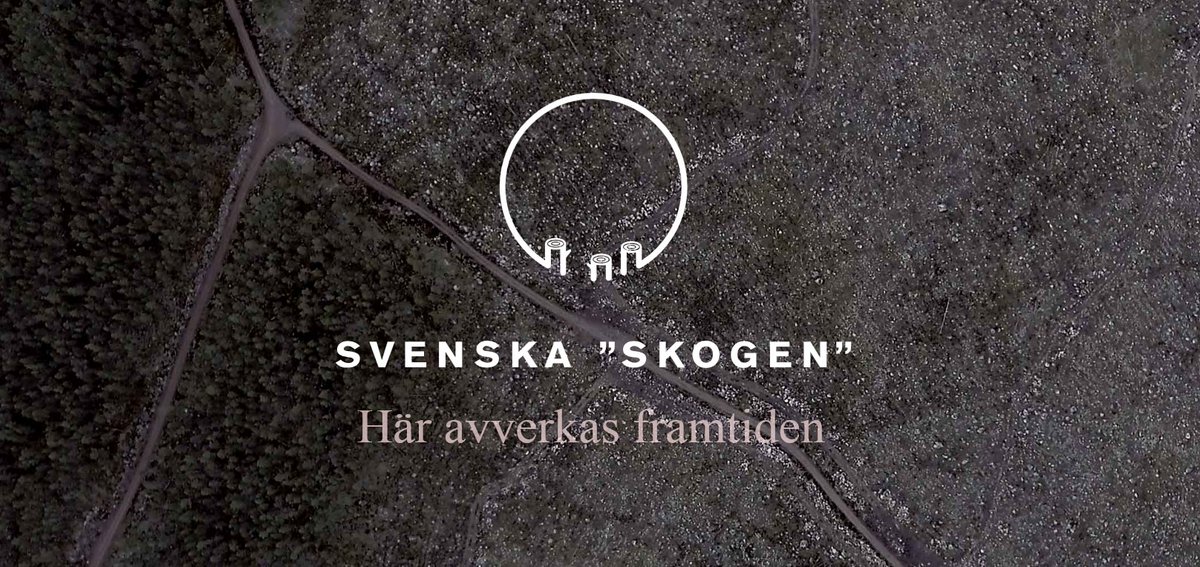 greenpeaceSE's tweet photo. Sverige har lovat att skydda mångfalden av djur, växter &amp; annat liv i #SvenskaSkogen. Det går sådär. https://t.co/XrCWOuSehT #gillaskog https://t.co/S9od5LH3Q7