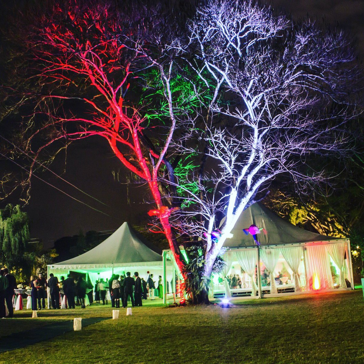 DeejayKamjo's tweet photo. Uplighting a tree in the colours of a country's flag at a diplomatic cocktail event. Guess which country.....
>> #throwback #discmenent https://t.co/TYpnI0AoAm
