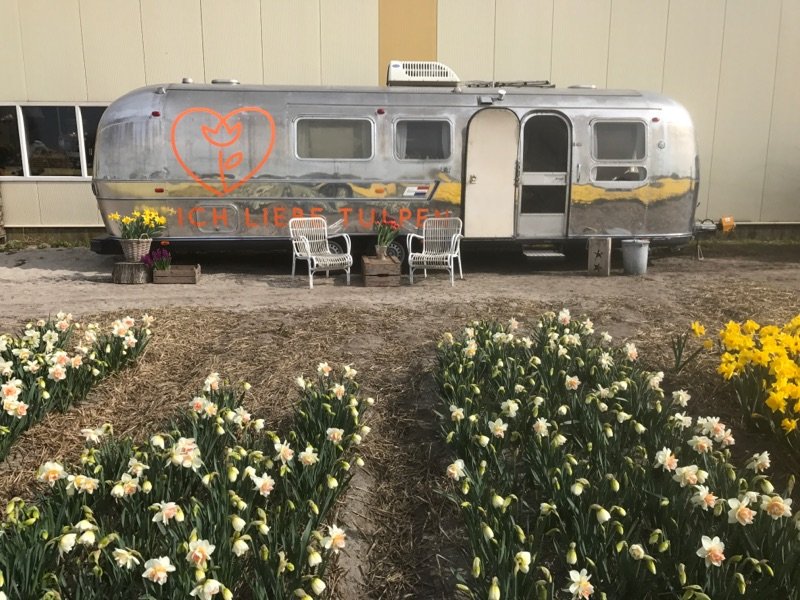 MichaelSiebers's tweet photo. Heute reist @soulsisterblogt an! 3 Tage #Bloggercaravan @DeTulperij und Besuch @VisitNoordwijk & @visitkeukenhof Viel Spaß! #ichliebetulpen https://t.co/wfzFkxOQcQ