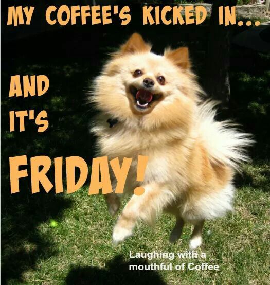 mchillegas's tweet photo. Happy Friday Morning!! #TGIF #coffeetime #weekend https://t.co/CgyDXdYWzk