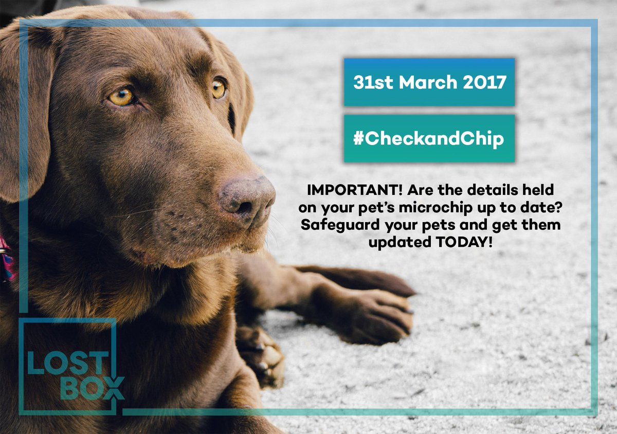 LostboxUK's tweet photo. Not updating your pet's microchip details puts you at risk of being separated from your beloved pet forever! Please RT! #CheckandChip https://t.co/MEuCPIeaka