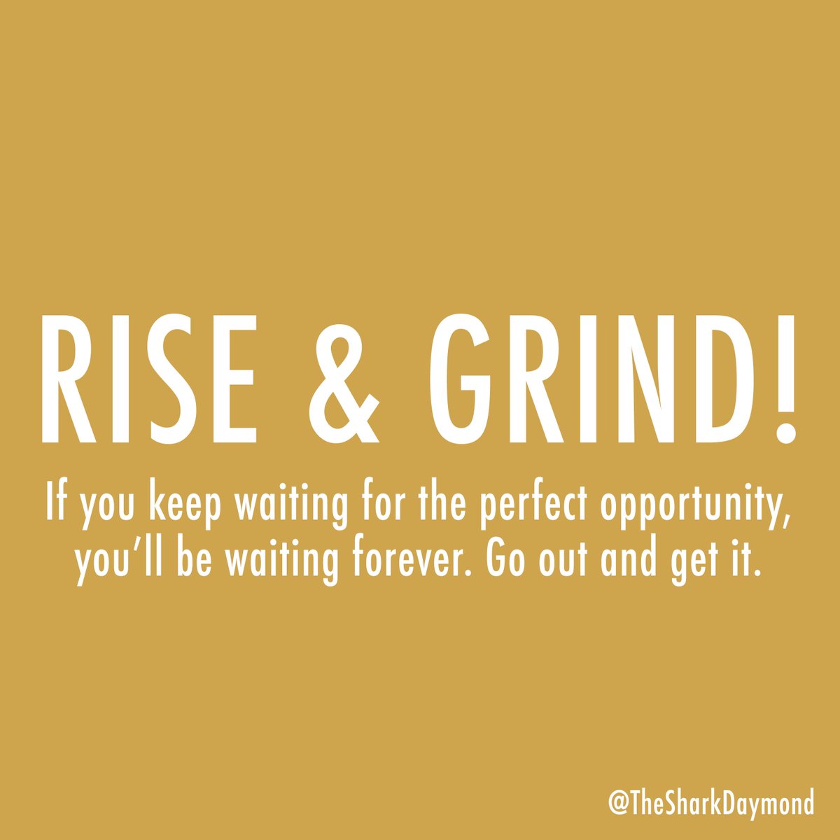 TheSharkDaymond's tweet photo. Rise &amp; Grind! https://t.co/zNg1Jdp2LP