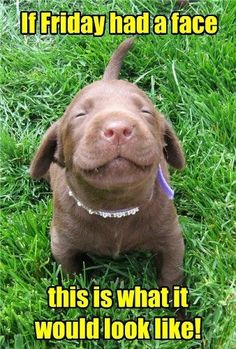 CommExpertLtd's tweet photo. Any one else got that #FridayFeeling? 
#FridayFace #TGIF https://t.co/Xm3DjOnryD