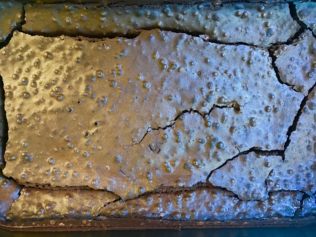 Christopher Burt tweet media