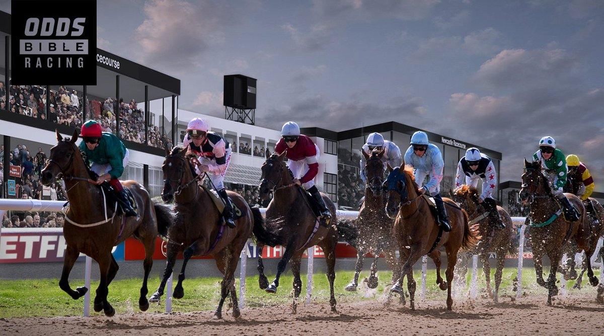 races exeter betting races exeter betting
