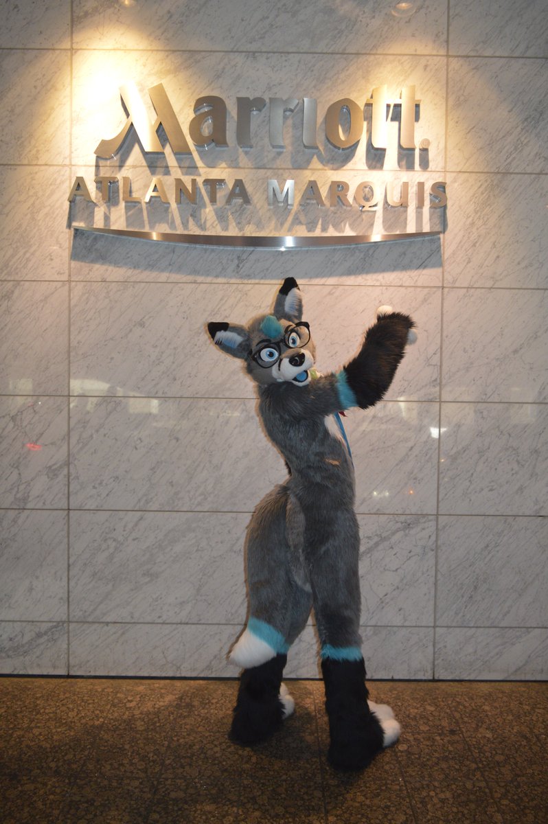 BigCee's tweet photo. This time next week, we'll be checked into #FWA2017 with warm greetings from an adorable fox! @maxxthefoxx #FursuitFriday (Pic #FWA2016) https://t.co/CExFJvNoSj