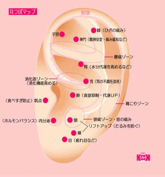 mimori38's tweet photo. 耳には沢山の体に良いツボがあります☆暇な時に簡単に押せるので、オススメです♪♪https://t.co/u1VLKElCqJ