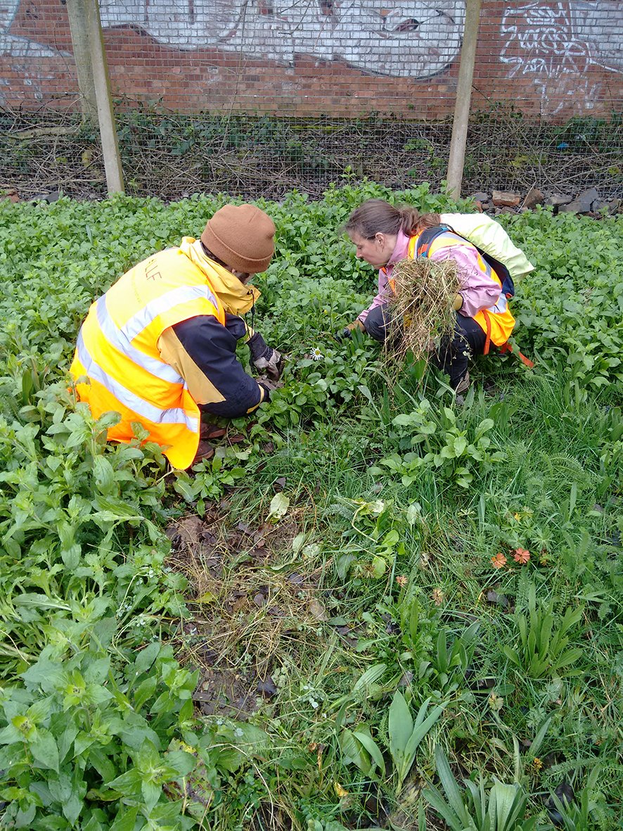 LPAP2016's tweet image. Lots of fun in the rain @ the community garden project yesterday, join us tomorrow @ Longbridge Train Station from 10 - 12 for more fun!