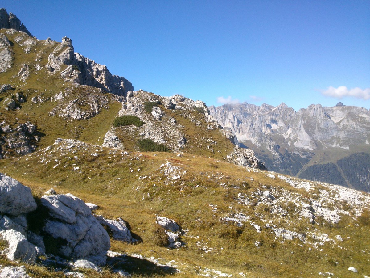 brentaskyrace's tweet photo. Il punto più alto del percorso, bocca di val strangola, dove regnano i #camosci 
Prima edizione della #brentaskyrace 9 luglio 2017 https://t.co/szI1Abtwka