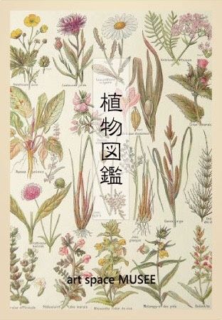 植物図鑑のtwitterイラスト検索結果 植物図鑑のtwitterイラスト検索結果
