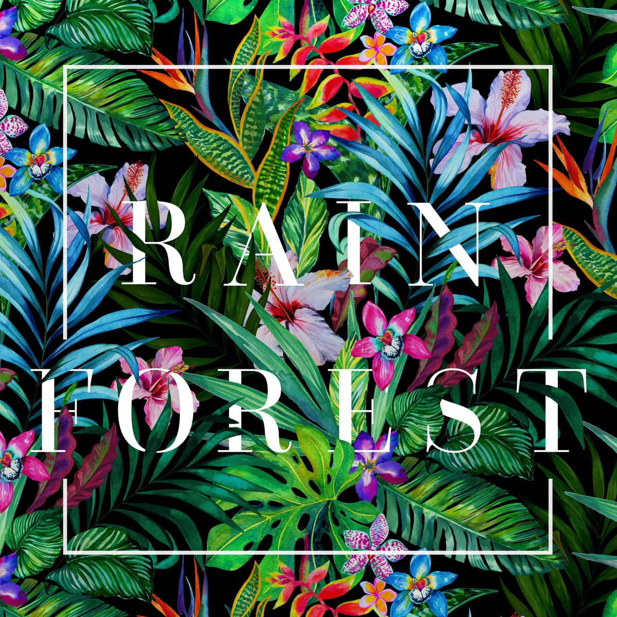 20144studio's tweet photo. Could you ever imagine, there's a Rainforest in Milan? 4-9.APR.2017. At Foro Buonaparte 44/A. #mdw2017 #fuorisalone #breradesigndistrict https://t.co/MIioL8a4no