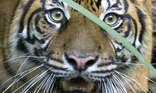 remotetesting1's tweet image. Discounts  Link: bit.ly/2ogybaL #Fuengirola vía @fuengirola