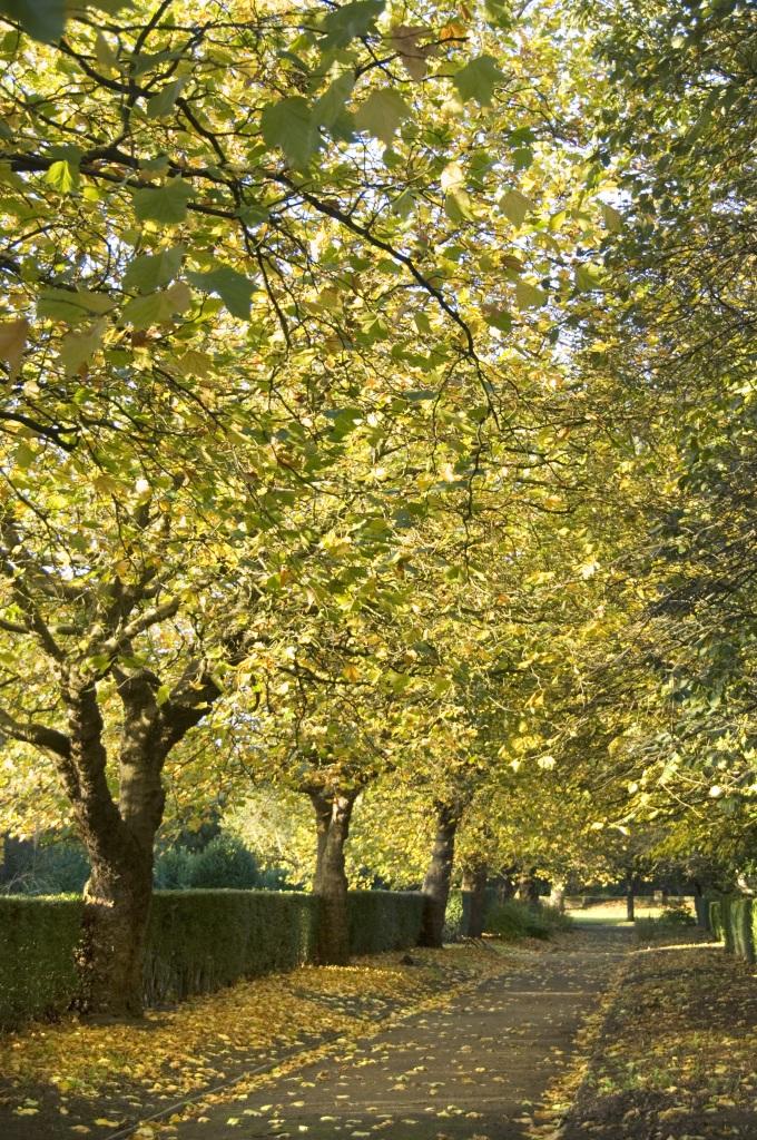 HE_NorthWest's tweet photo. It's #nationalgardeningweek. Get inspiration for your own &amp; find gardens on your doorstep. See Wavertree Botanic Garden &amp; Park GDII* https://t.co/yihommzAUj