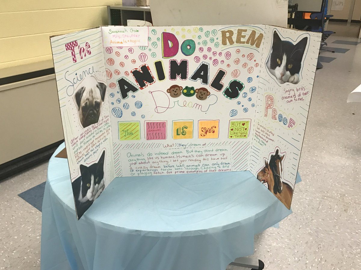 Some of our Math 6 Passion Projects <a href="/henleyhornets/">Henley Middle School</a>