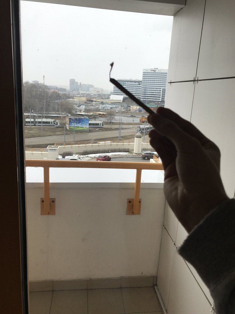 FolkDen's tweet photo. Stay home https://t.co/zJNYfwbwMu