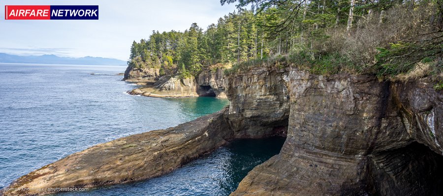 Airfare Network tweet media