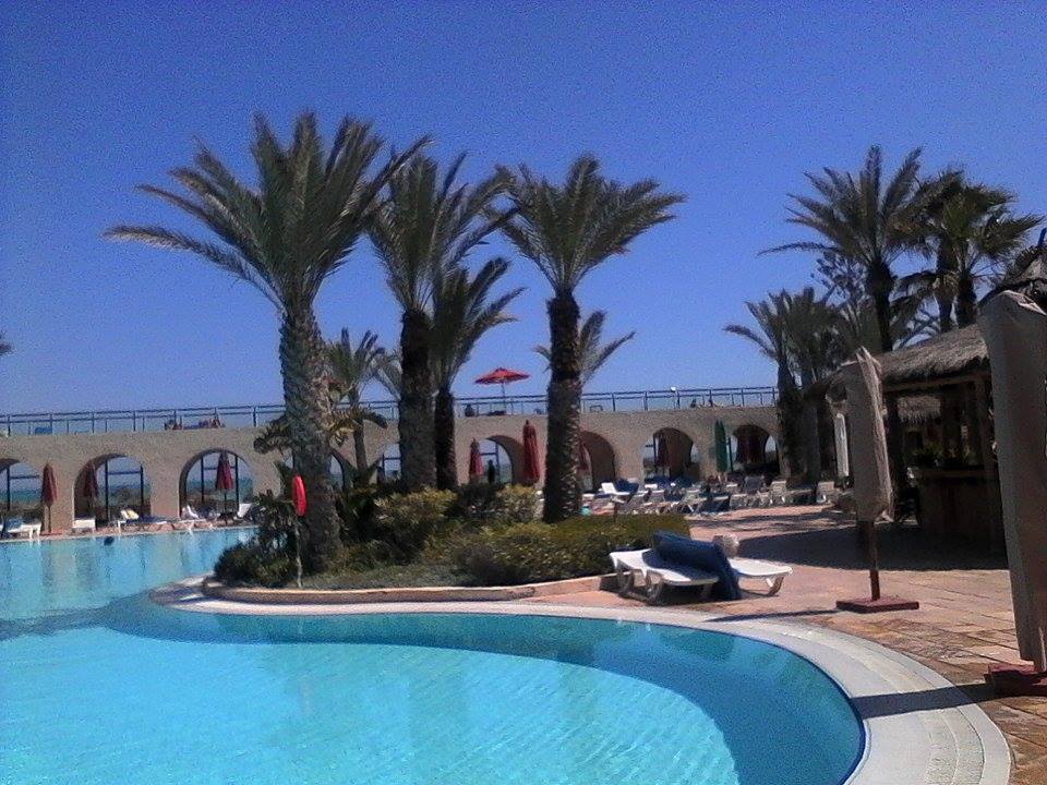 HolidayconcDjb's tweet photo. A wonderful Day #SENTIDO Djerba Beach
Ein wundervoller Tag im #SENTIDO Djerba Beach
Une journée merveilleuse au #SENTIDO Djerba Beach https://t.co/vQ2vc66WES