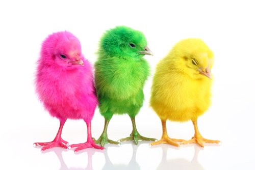 PWTSolicitors's tweet photo. Here is something that should give you a good laugh – 10 unbelievable laws around the world! https://t.co/Ys1n05femi https://t.co/mGoHO0fbPg