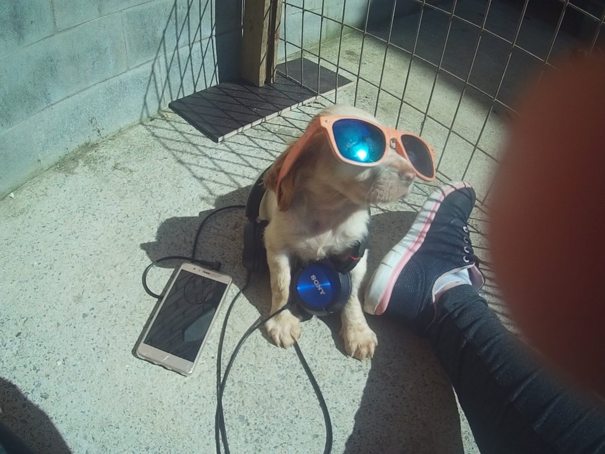 loff_canarios's tweet photo. Es mereix les entrades @radioflaixbac #EdSheeranFlaixbac https://t.co/QFzfTiowKr