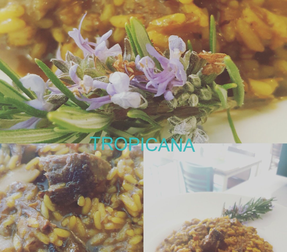tropicanaronda's tweet photo. Arroz meloso de carrillada ibérica con boletus....
#tropicaneando #arrozdelbueno #otrorrollo #rondagourmet #vaporustedes https://t.co/3YMe00F1M6