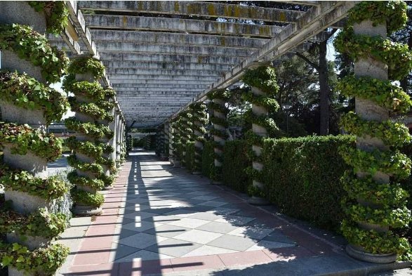 viwilo's tweet image. Hugo, français à Madrid, vous fait découvrir le parc #Retiro ! viwilo.com/fr/activities/… #visitmadrid  #ExpatLife