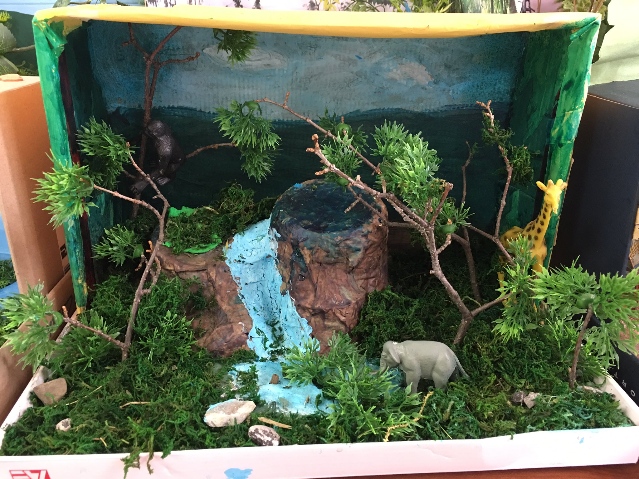 Rainforest dioramas