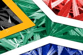 BruinouDotCom's tweet photo. We have a few readers who will all now suddenly become avid gardeners--> https://t.co/a1BmtHPm60
#Dagga #DaggaJudgement #Cannabis https://t.co/bRqtB1ZFBW