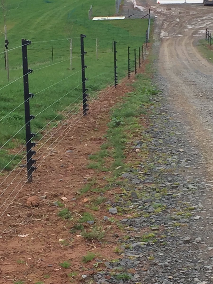 MasseyRob's tweet photo. Y Posts with pin lock insulators & galv wire on a Poultry Unit.Easy to drive in,long lasting electricrified stock proofing #NZSolutions https://t.co/usYOu97TIK