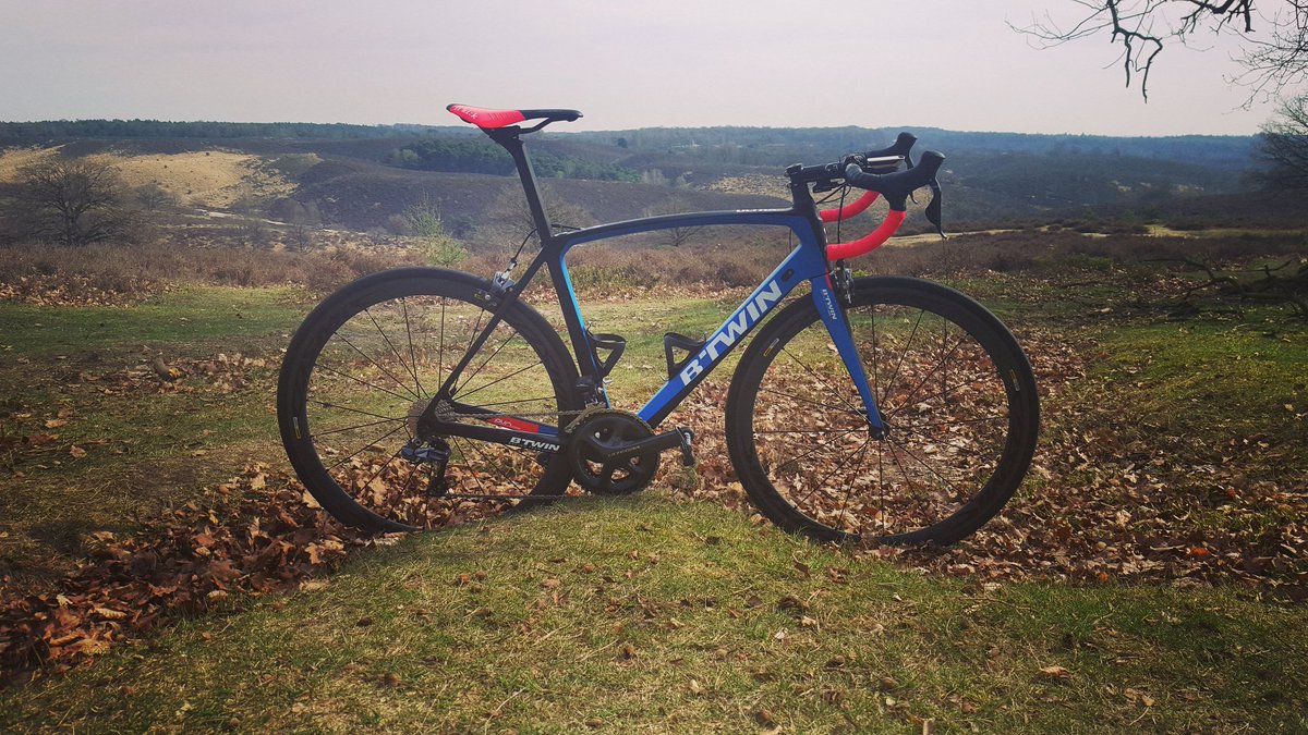 Judith Bloem tweet media